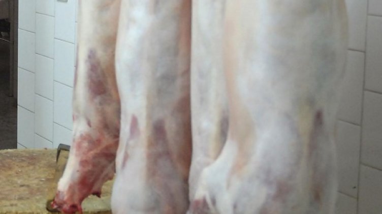 Снимка: Булфото, архив