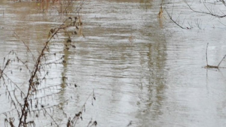 Архив: Булфото