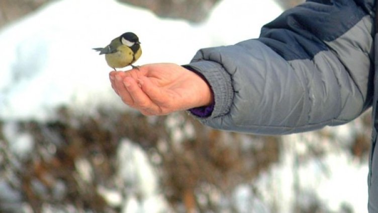 Снимка: архив Булфото