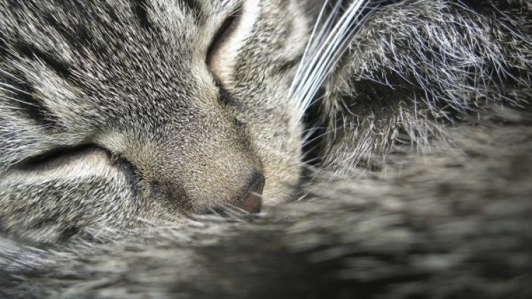 Снимка: Reuters, архив