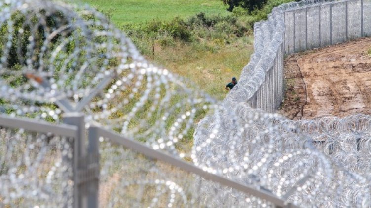 Снимка: Impact Press Group