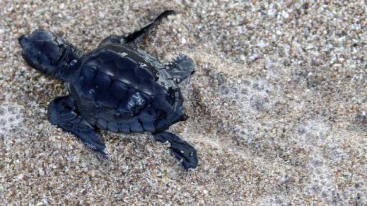 Снимка: архив, Reuters