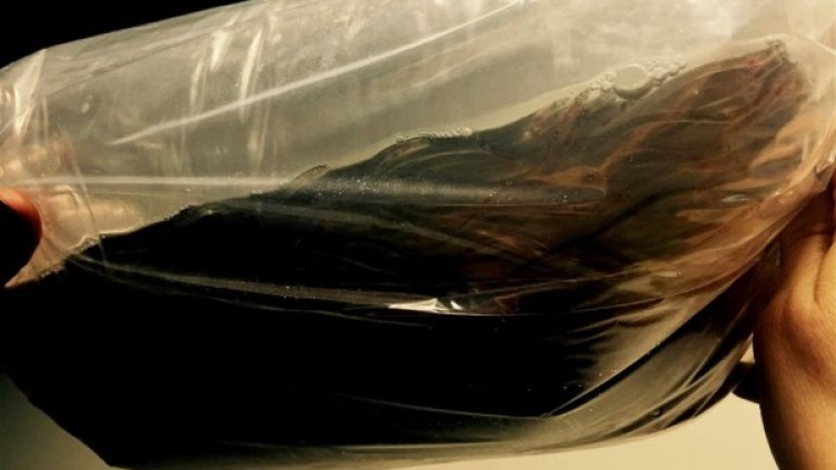 Снимка: Агенция "Митници"