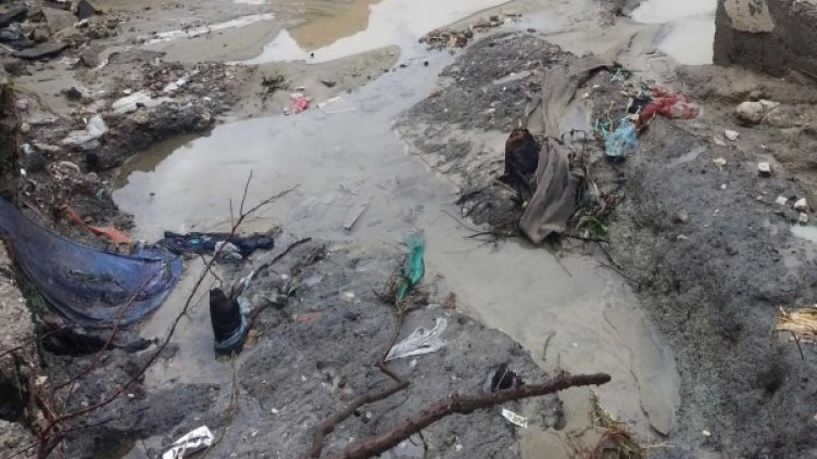 Архив: Булфото