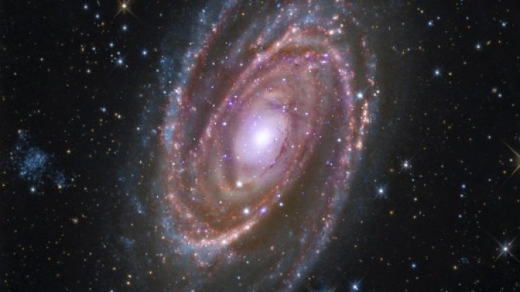 Снимка: Reuters, архив