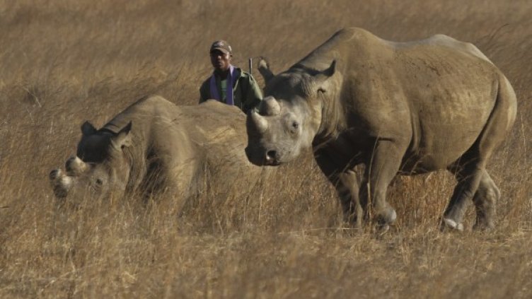 Снимка: архив, Reuters
