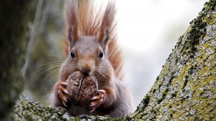 Снимка: Архив Reuters