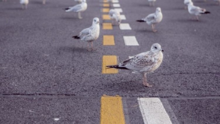 Снимка: bgonair.bg