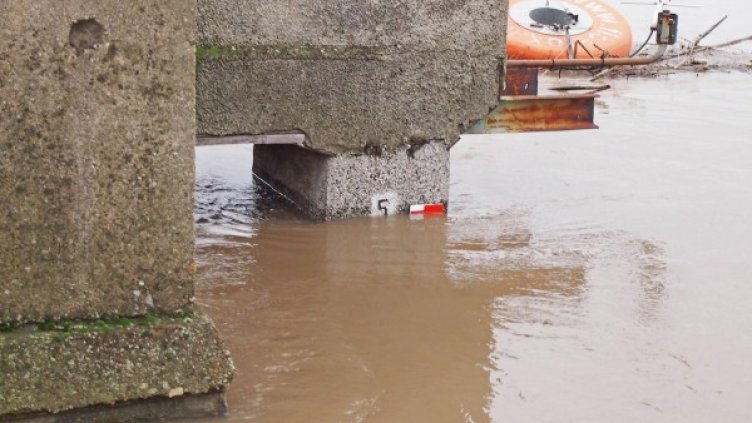 Снимка: Булфото