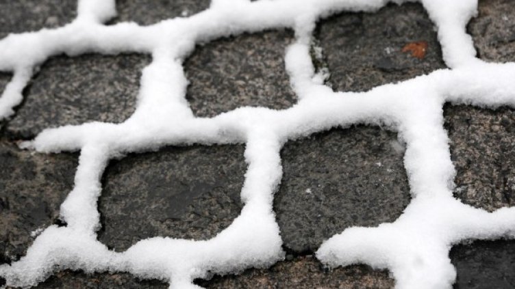 Снимка: архив Булфото