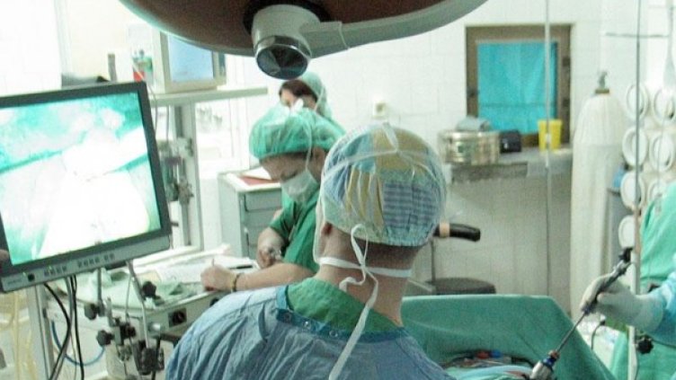 Снимка: Булфото, архив