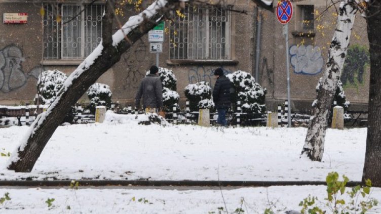 Снимка: архив Булфото