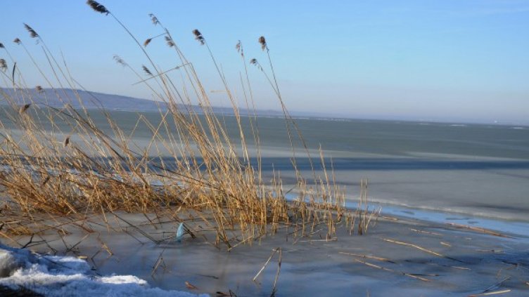 Снимка: архив Булфото