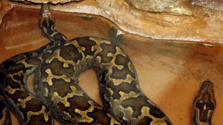 Снимка: Reuters