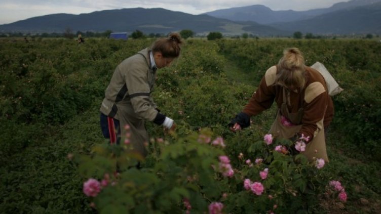Снимка: Reuters