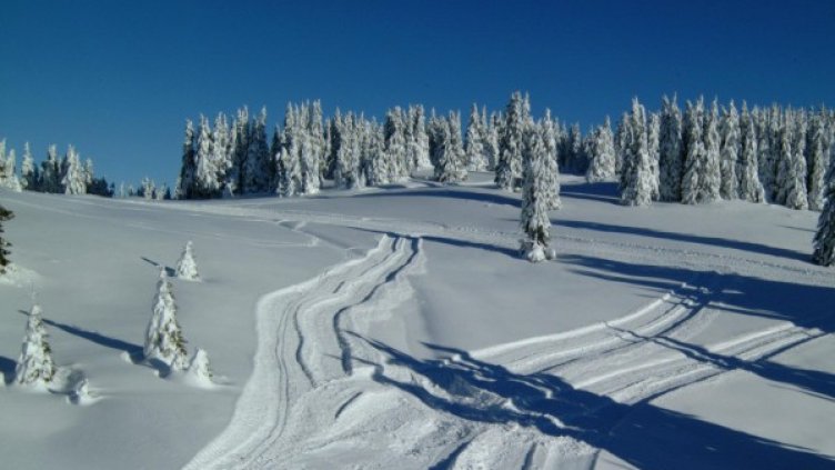 Снимка, архив Булфото