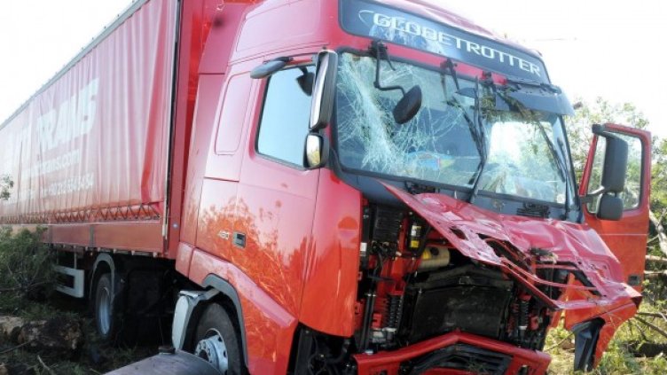 Снимка: архив, Булфото