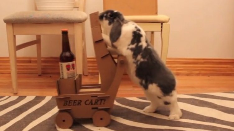 Снимка: YouTube