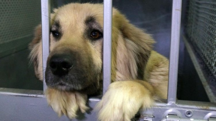 Снимка: Булфото, архив