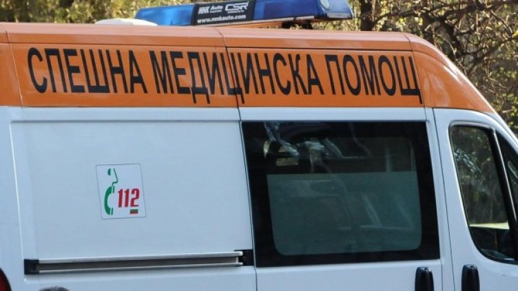 Снимка: архив Булфото