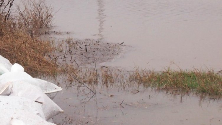 Снимка: Булфото, архив