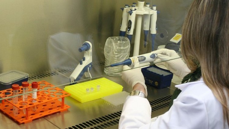 Снимка: архив, БулФото