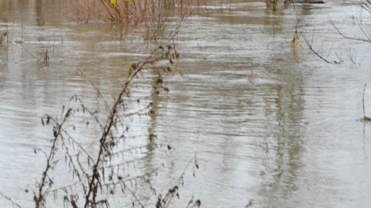Снимка: архив, БулФото