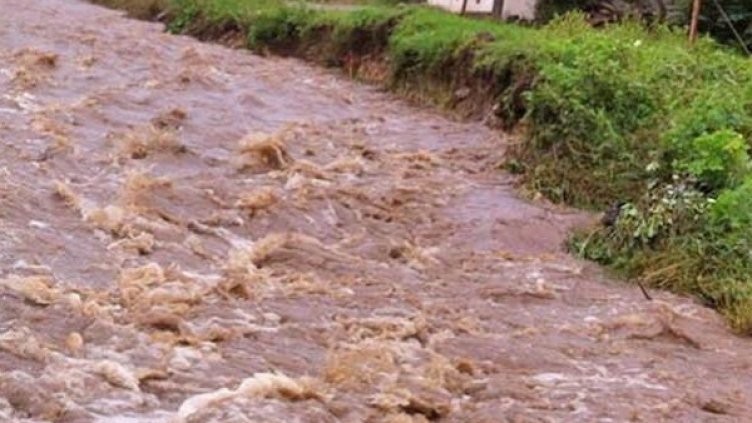 Снимка: Архив Булфото