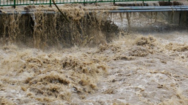 Снимка: Булфото