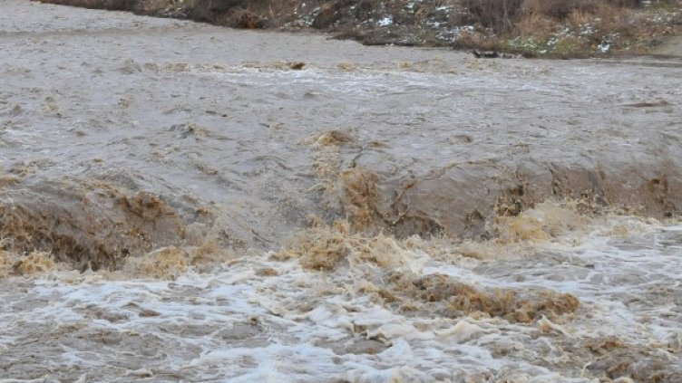 Снимка: БТА, архив