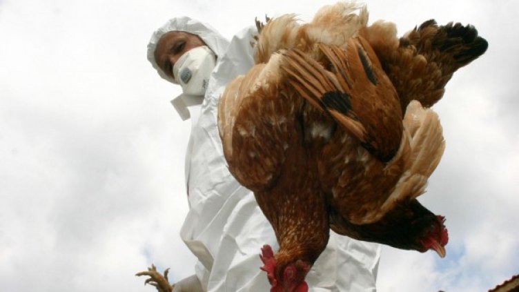 Снимка: Булфото, архив