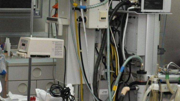 Снимка: архив, БулФото