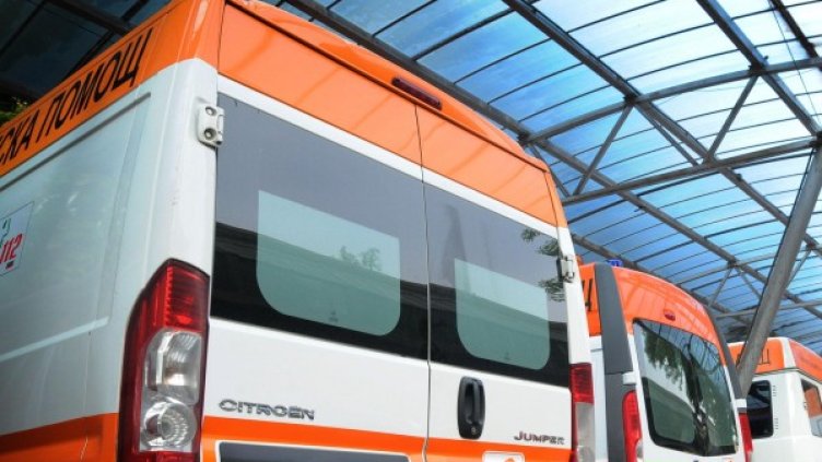 Снимка: Булфото