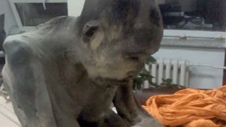 Снимка: YouTube