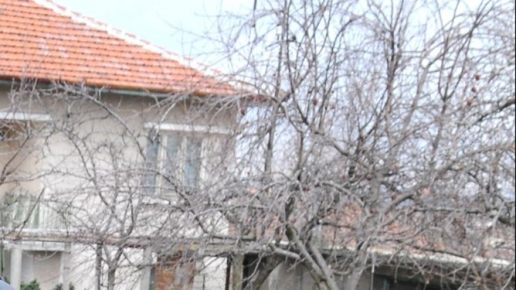 Снимка: Булфото, архив