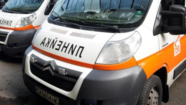 Снимка: архив Булфото