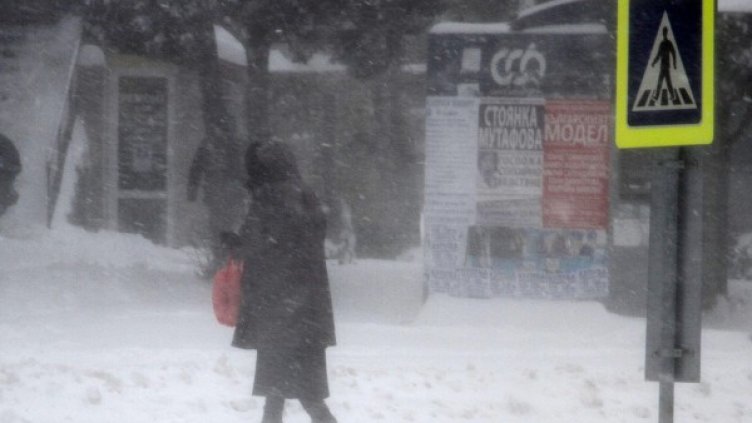 Снимка: архив Булфото