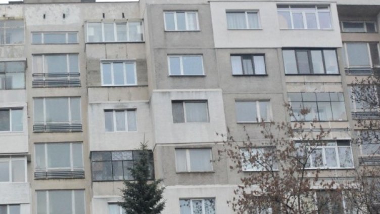 Снимка: архив, БулФото