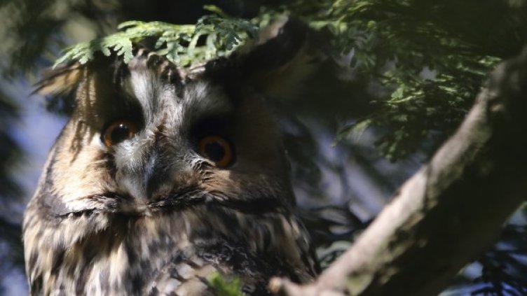 Снимка: Архив Reuters