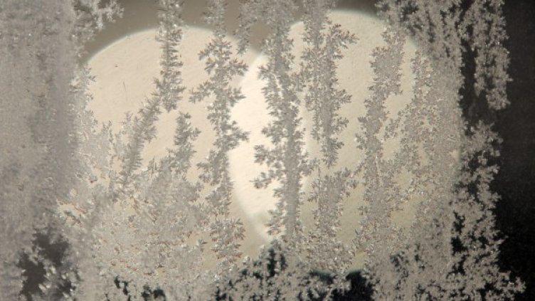 Снимка: Архив БТА