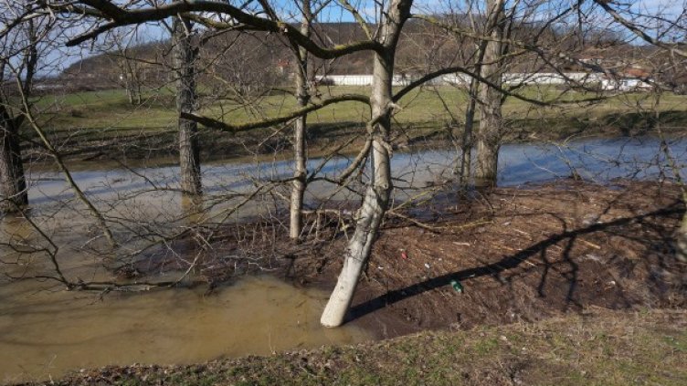 Снимка: Булфото, архив