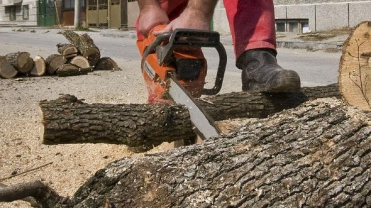 Крадец на резачка влиза в затвора за година и половина