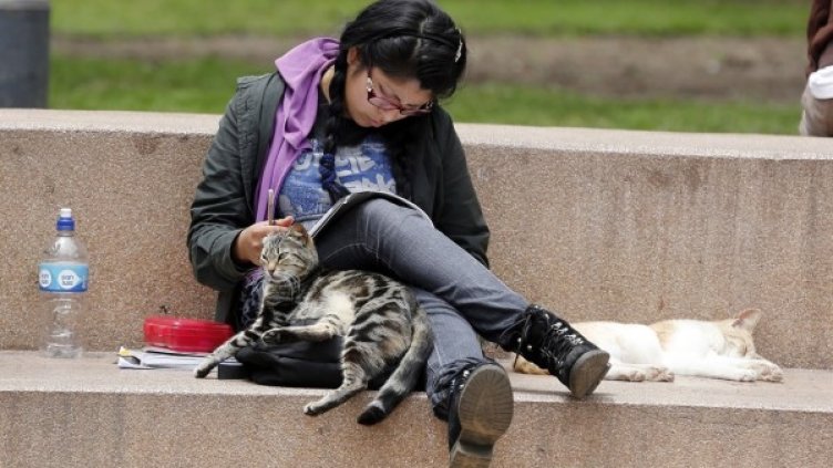 Снимка: Ройтерс