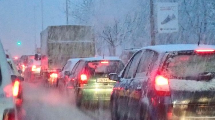 Снимка: Булфото