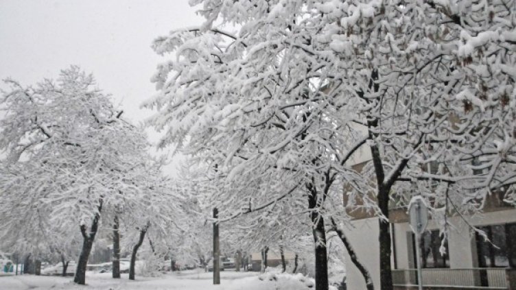 Снимка: архив, Булфото