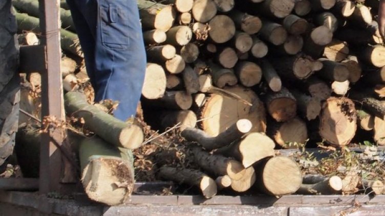 Снимка: архив, БулФото