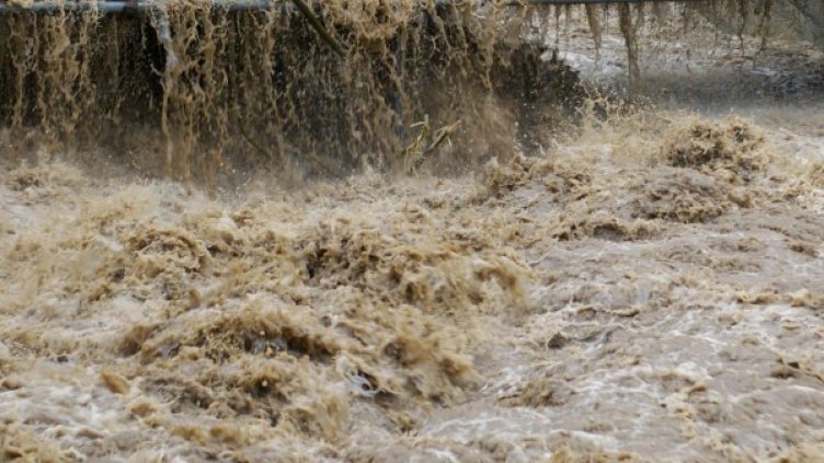 Снимка: архив Булфото