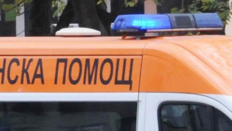 Снимка: Булфото, архив