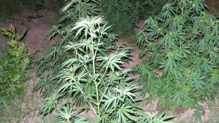 Архив: Булфото