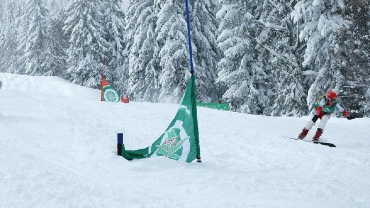 Снимка: архив Булфото